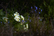 26-03-22_EB8_7932