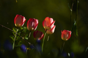 26-04-04_EB8_9016