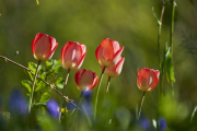 26-04-04_EB8_9019
