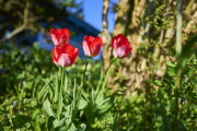 26-04-07_EB8_9916