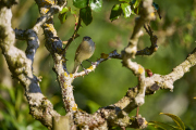 26-04-09_EB8_0066