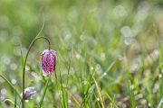 26-04-10_EB8_0160