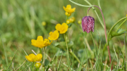 26-04-10_EB8_0480