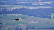 26-07-04_EB8_4992