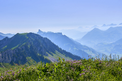 26-06-24_EB8_4400