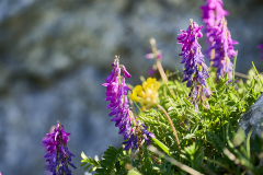 26-06-24_EB8_4439