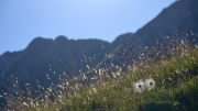 22-07-19_EZ6_0422