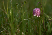 26-04-10_EB8_0251
