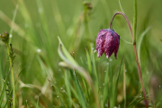 26-04-10_EB8_0258