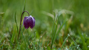 26-04-10_EB8_0278