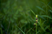 26-04-26_EB8_1228