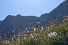 22-07-19_EZ6_0422