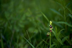 26-04-26_EB8_1228