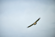 25-09-03_EB8_2235