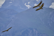 25-09-03_EB8_2449