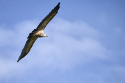 25-09-03_EB8_2585
