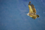 25-09-03_EB8_2871