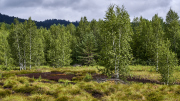 19-07-27EB8_1461RAW