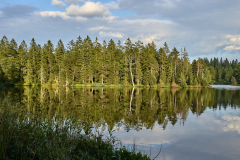 22-07-30_EZ6_0516
