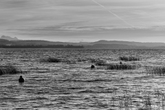 WP25_01_7353-1