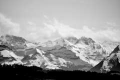WP25.03_3183-1